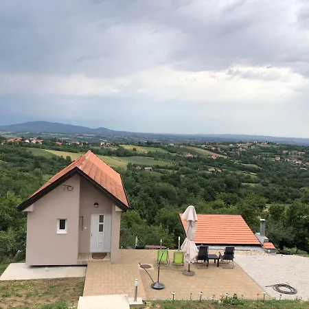 Pogled *