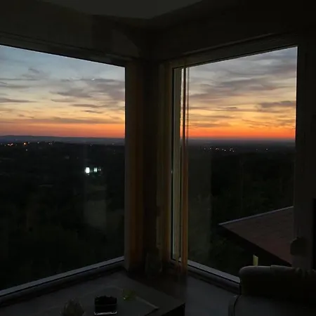 Pogled