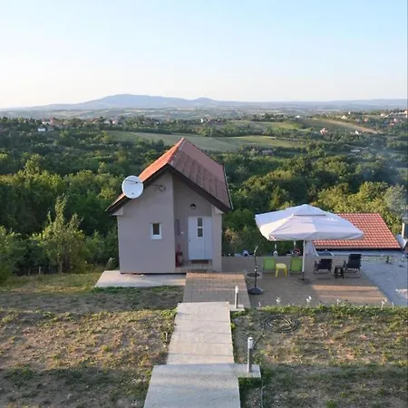 Pogled * Arandjelovac