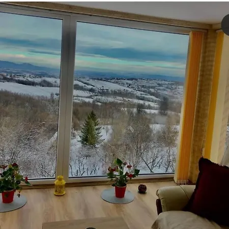 Pogled *