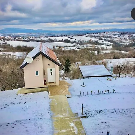 Pogled *