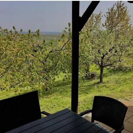 Pogled * Arandjelovac