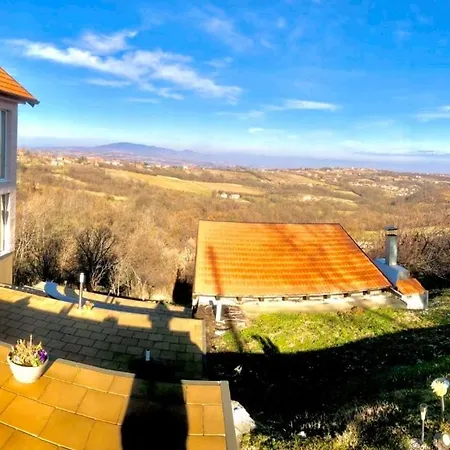 Pogled