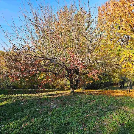 Apartman Pogled Arandjelovac