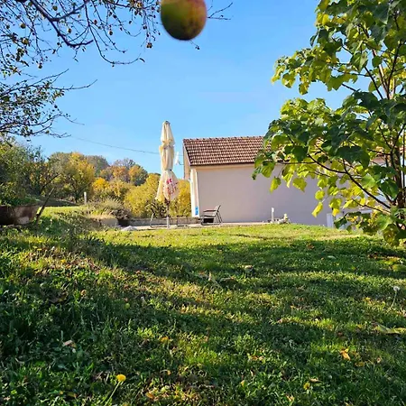 Pogled * Arandjelovac