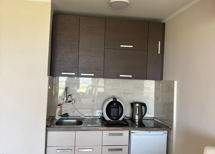 Pogled 阿然德洛维克