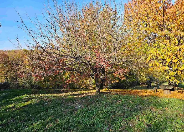 公寓 Pogled 阿然德洛维克