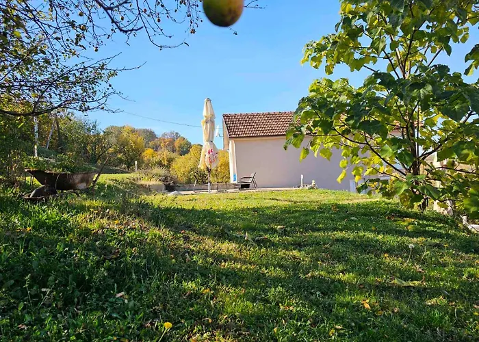 Pogled * 阿然德洛维克